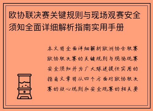 欧协联决赛关键规则与现场观赛安全须知全面详细解析指南实用手册 欧协联决赛关键规则与现场观赛安全须知全面详细解析指南实用手册