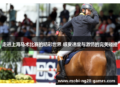 走进上海马术比赛的精彩世界 感受速度与激情的完美碰撞